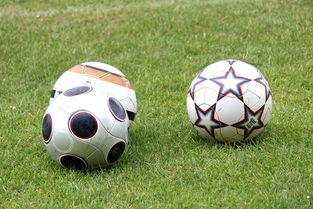 未来足球市场：数字资产与足球产业的融合，足球概念数字货币