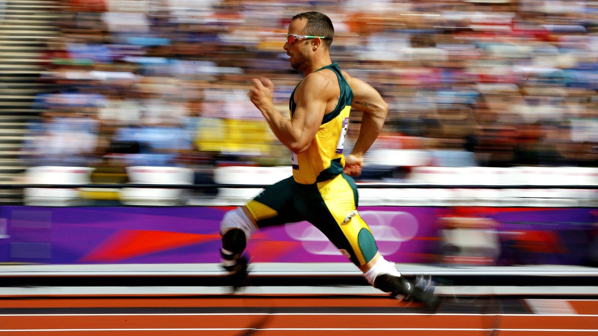 波波维奇赛场表现引发媒体关注，波波维奇 胜场